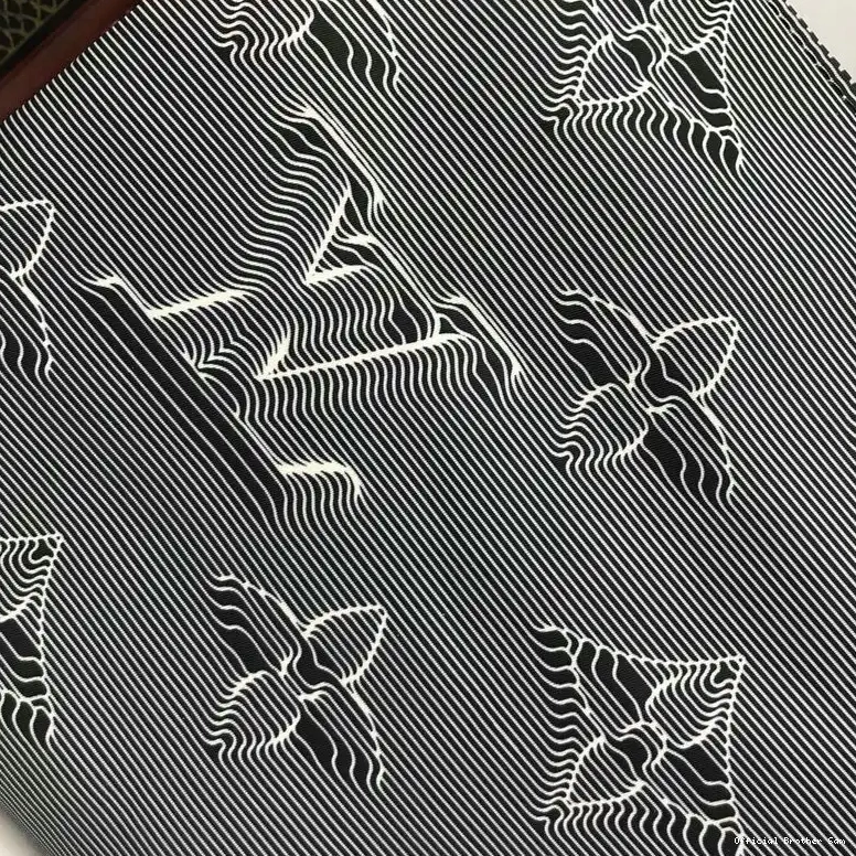 Official Brother Sam Bags LV 20B570311 0802